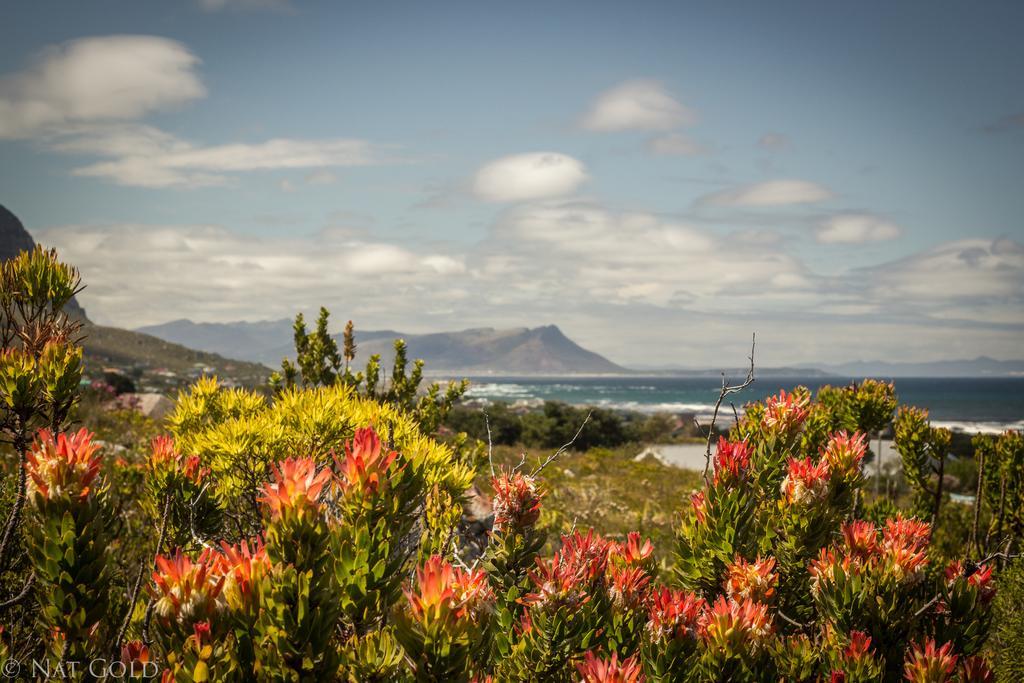 The Trailhouse Hotel Bettyʼs Bay Buitenkant foto